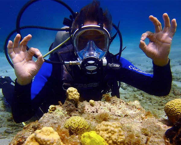 Full Face Mask Open Water Diver