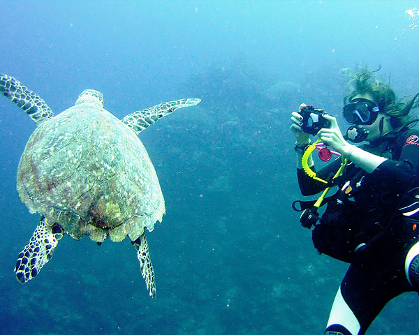 Underwater Photographer