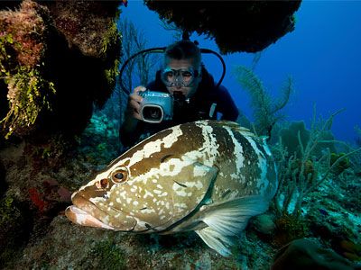 underwater-photographer